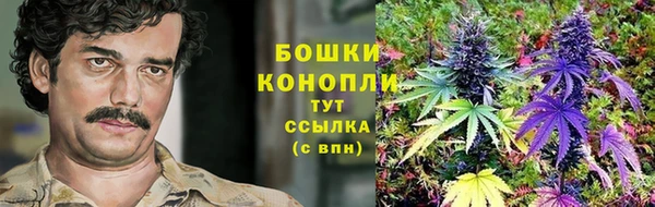 прущие крисы Краснотурьинск